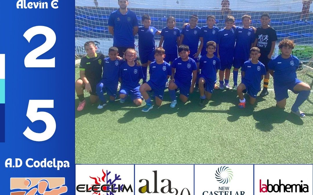 ALEVIN E 2/5 A.D CODELPA