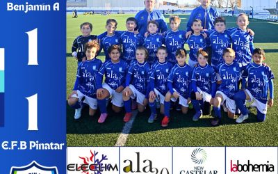 BENJAMIN A 1/1 E.F.B PINATAR